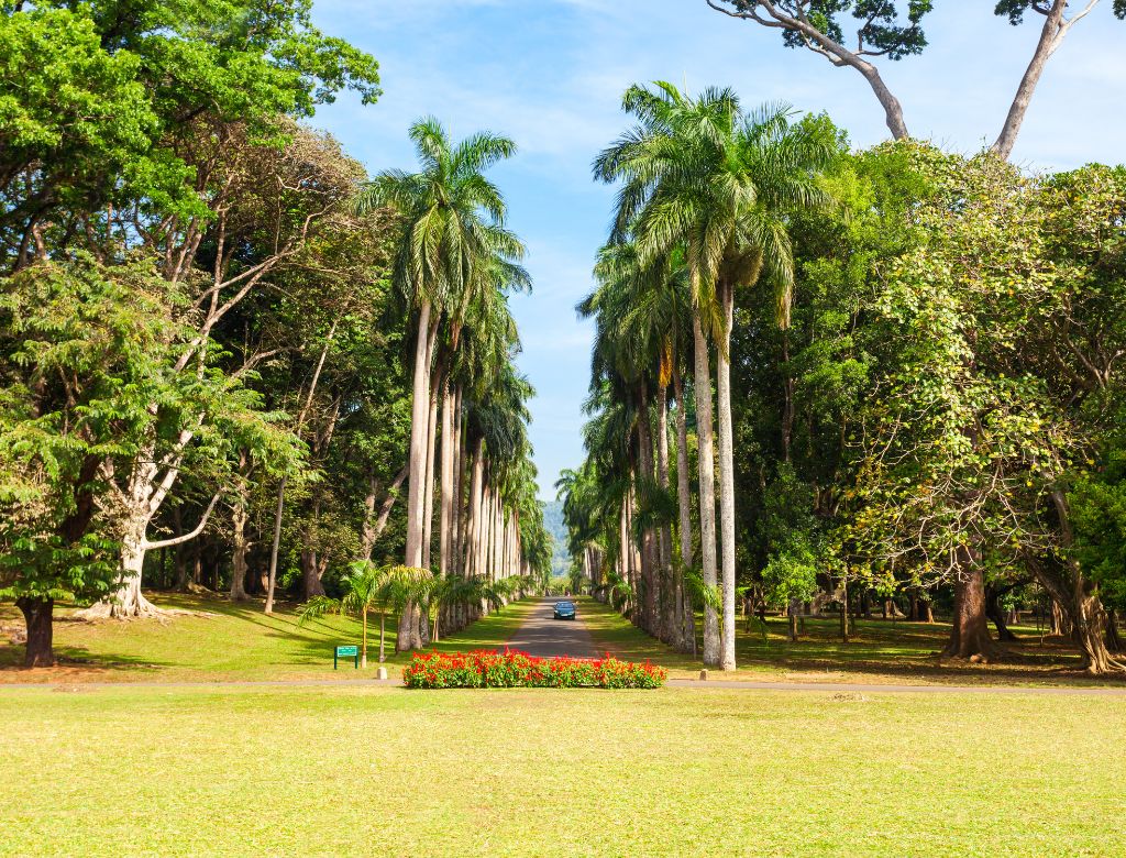 Peradeniya