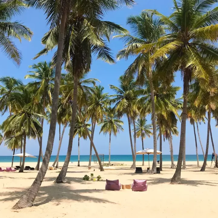 7995096-passikudah 7995096-passikudah