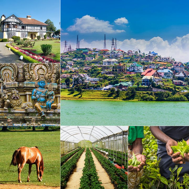 800×750-33 800x750-33