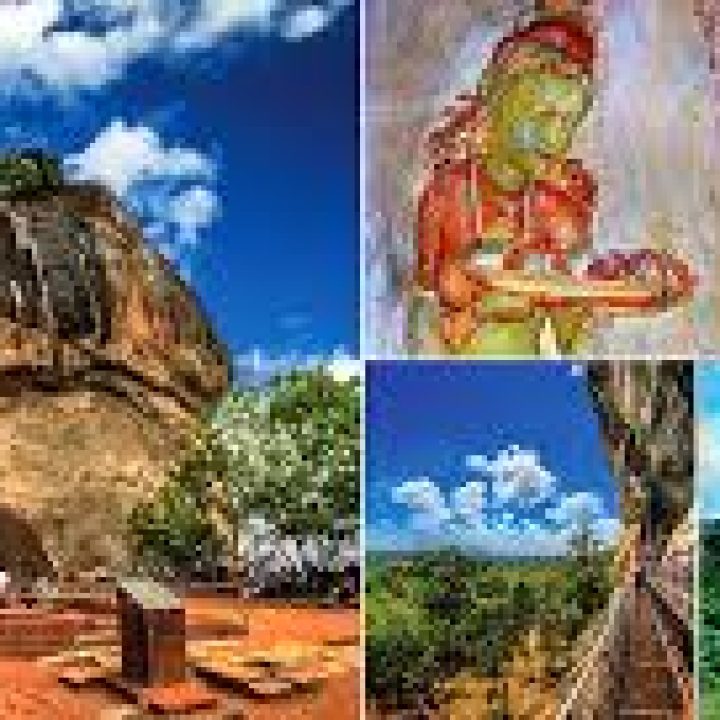 images (1) images (1)